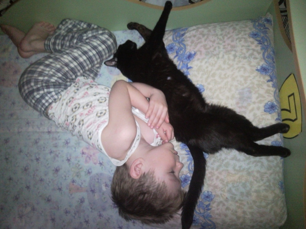 Сон ребенка и кошки, человек спит с котом, Child and cat sleep