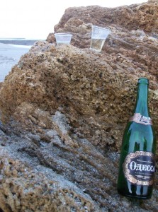 Поздравляю с новым годом 2012, results of january 2012 Шампанское и пару стаканчиков. Новый год на черном море.