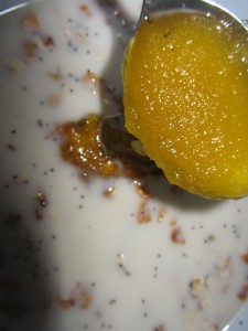 Какой мед положить в кутью, What honey put in Christmas Pudding Полезный мед для кутьи, сыроедческие сладости с медом