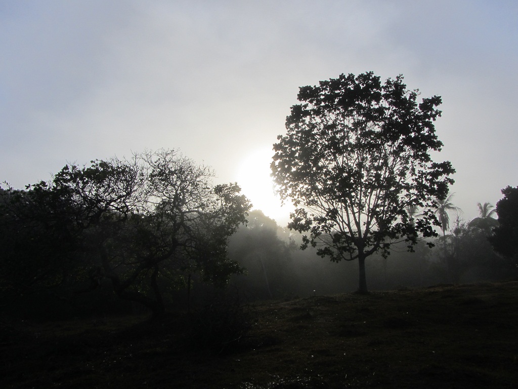 рассвет на вилле Кобра Мансы в Валенсе, Dawn in a villa in Valenca Пермангола 2013, вилла Кобра Мансы утром.