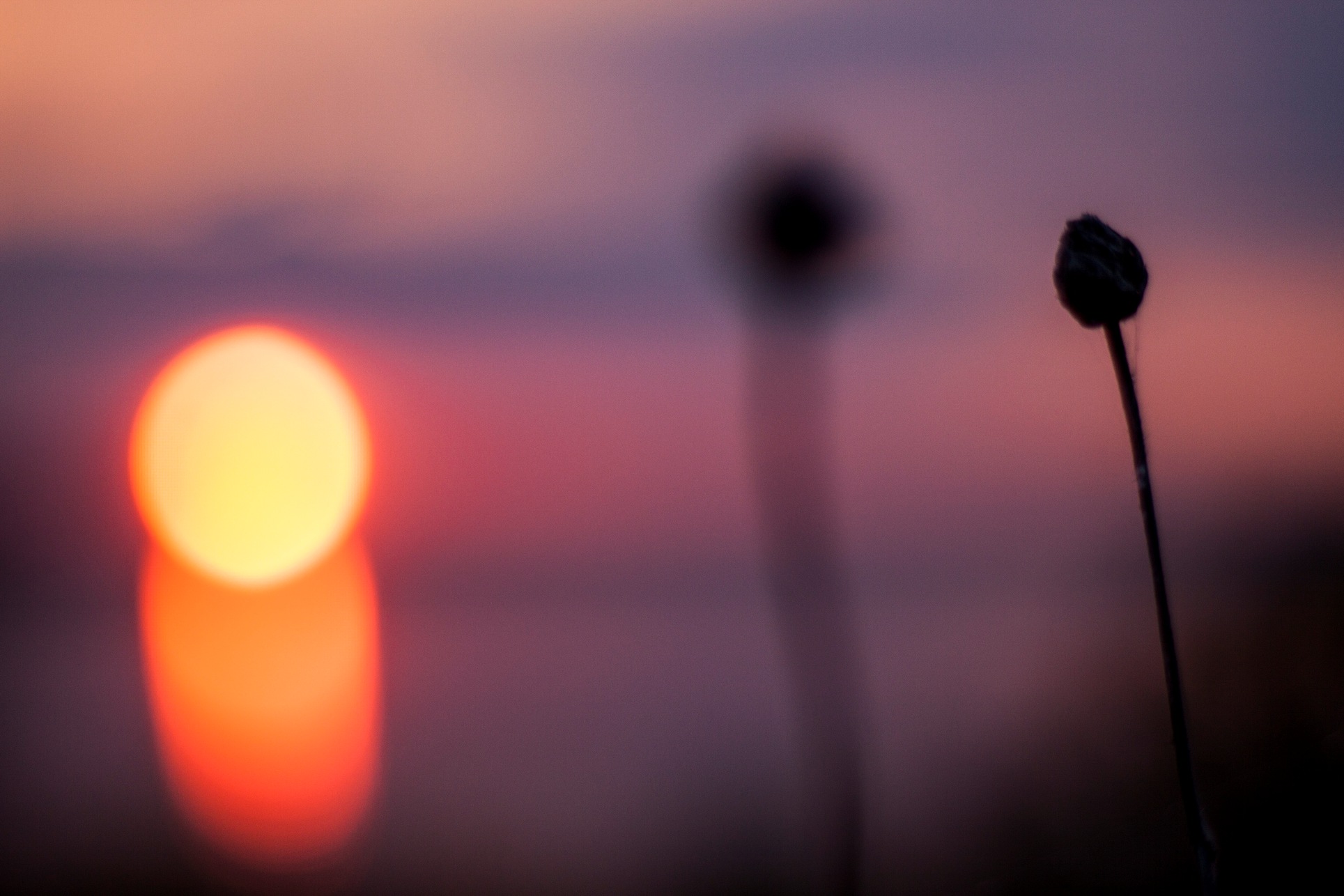 Притча про мудрость, Как получить настоящую мудрость, Мудрость на практике.