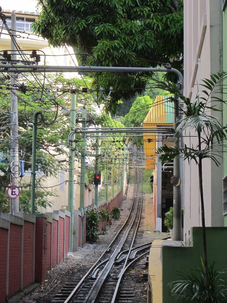 Чем занимаются мудрецы, Мудрые интеллектуалы