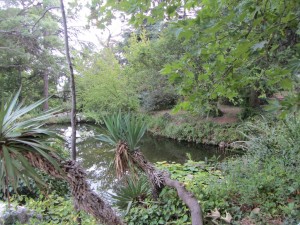 Форос парк фото, Foros park photo. Фотографии Форосского парка в Крыму.