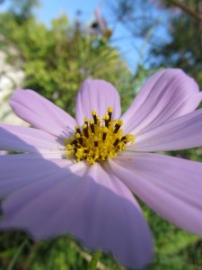 Счастье существует, доступно ли счастье каждому, happiness exists Счастливые управляют, Управлять своим счастьем.