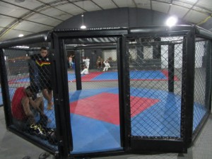 заработки в видах спорта, Деньги в спорте, Рейтинг прибыльности видов спорта. 