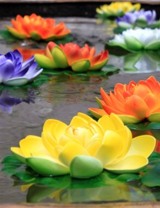 Основы саморазвития, Успешное мышление, Секрет успешного мышления, Basics of self-development Нужно ли отдавать полученные знания, Отдай, и получишь еще больше, Советы по саморазвитию,