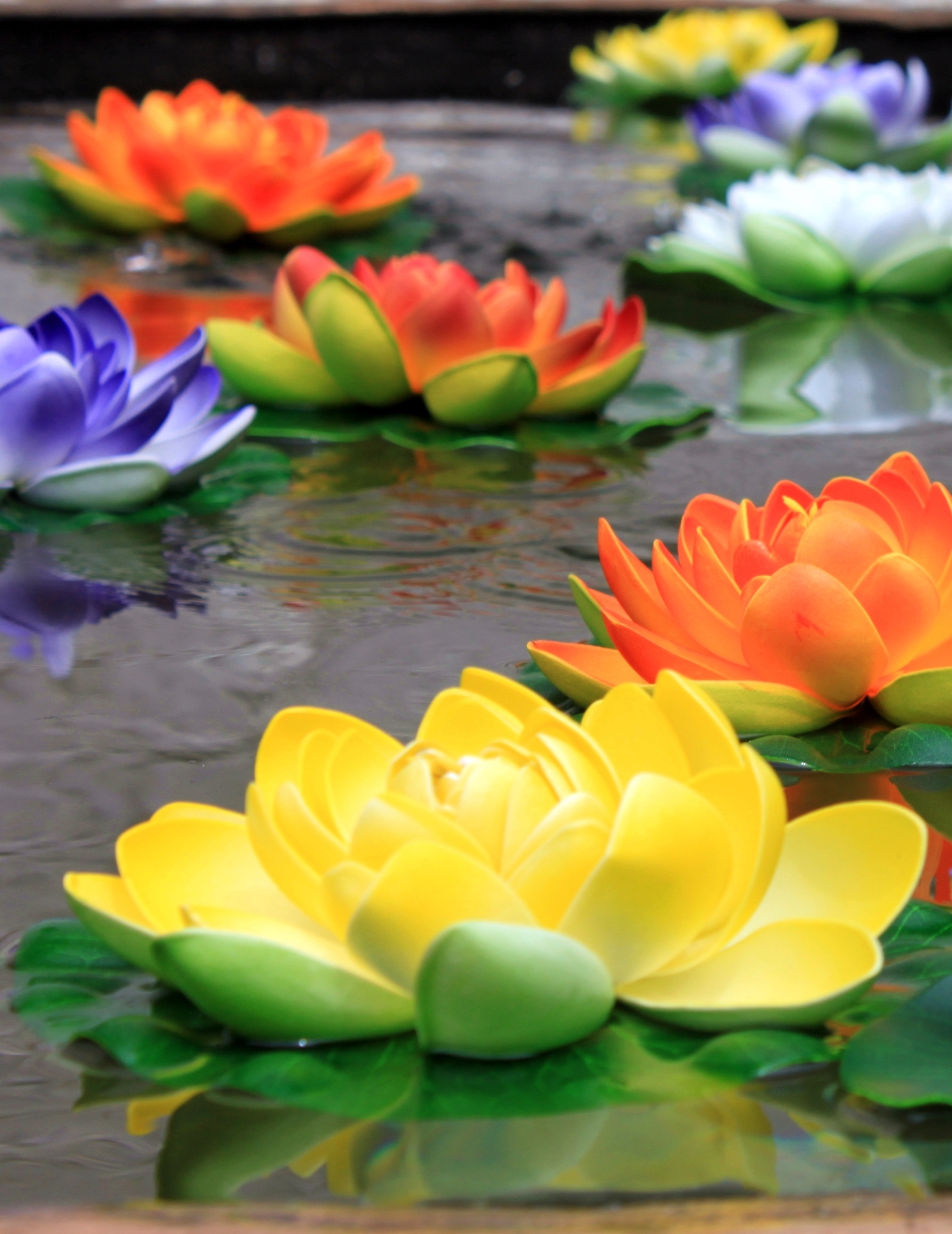 Нужно ли отдавать полученные знания, Отдай, и получишь еще больше, Советы по саморазвитию,