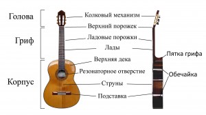 Строение акустической гитары для начинающих. Строение акустической гитары для начинающих