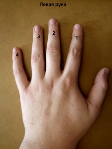 Обозначение пальцев рук для игры на гитаре, Designation of the fingers for playing the guitar Обозначение пальцев рук для игры на гитаре для левой руки