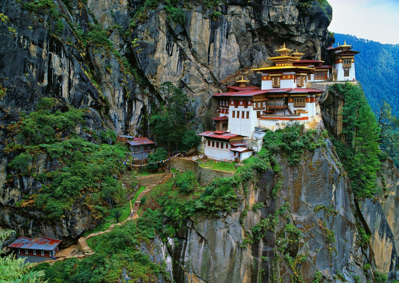 Путешествие в Тибет, В Тибет за силой, Трава мужской силы, Тибетские травяные сборы. Путешествие в Тибет, В Тибет за силой, Трава мужской силы, Тибетские травяные сборы.
