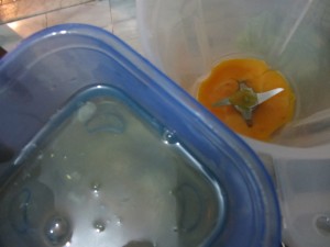 Пошаговый фоторецепт приготовления морковного пирога, Stepping fotoretsept cooking carrot cake Пошаговый фоторецепт приготовления морковного пирога, Stepping fotoretsept cooking carrot cake