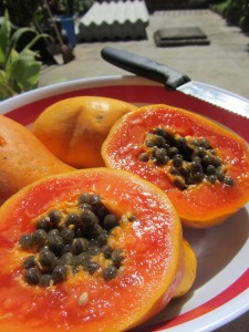 С чем и как едят папайю, Полезные свойства папайи, Состав папайи, Папайя противопоказания.