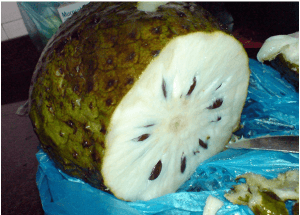 Soursop