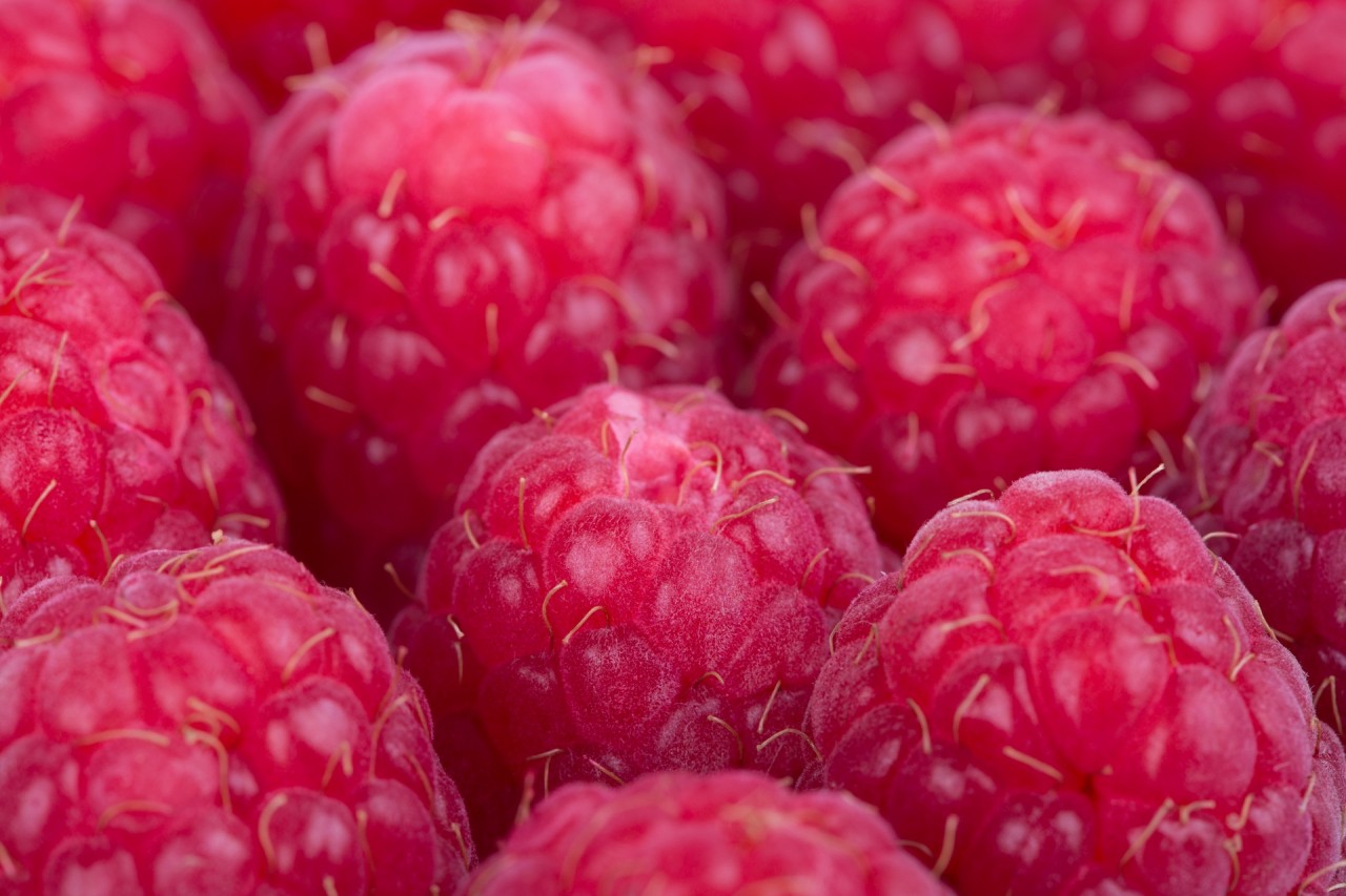 Чай с малиной, Полезные свойства чая с малиной, Польза чая с малиной, Чай с малиной при простуде, Как заваривать чай с малиной, Рецепт чая из листьев малины, Чай с малиной при беременности,