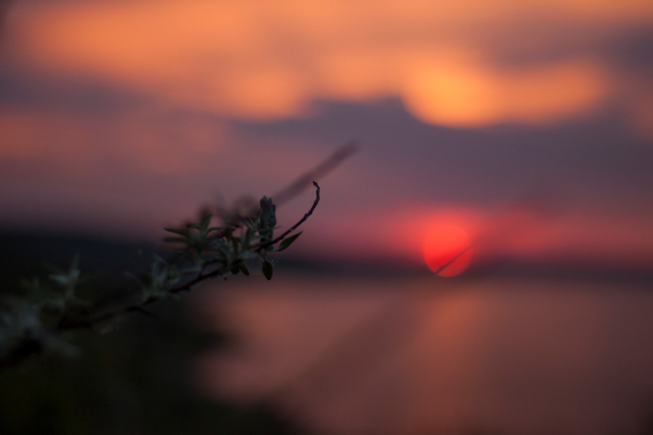 Может ли человек быть абсолютно счастливым, Что есть Счастье, Высшие принципы счастливой жизни, chto est shastie. Каким должен быть совершенно счастливый человек.
