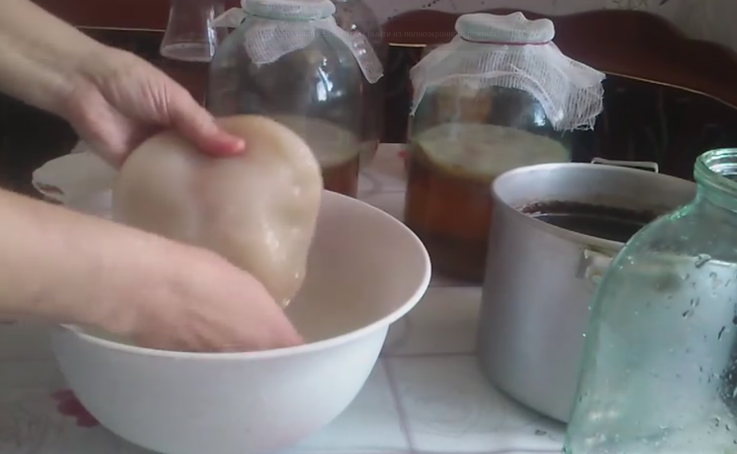 Другие настои и рецепты для выращивания чайного гриба,