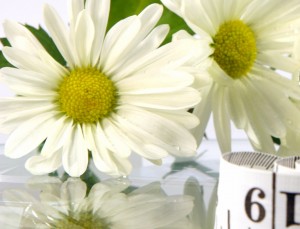 Ромашковый чай польза и вред, польза и вред чая из ромашки, Польза чая с ромашкой, Лечение ромашковым чаем, Польза при сахарном диабете, Чай из ромашки для похудения, Чем полезен