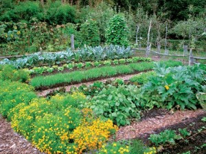 c2619ca6693ee2cb6482a50dffef5416