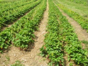 e2c9e88f5aa76ee9071e2f1a9d2f0d31c8586f98