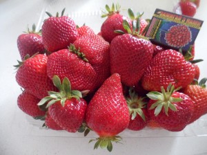 клубника с органической грядки