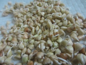 Зеленая гречка для похудения, Green buckwheat diet Зеленая гречка для похудения