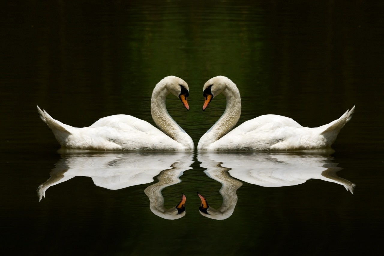 Даты свадебных годовщин, названия Дат свадебных годовщин, как отмечать годовщины свадьбы. Даты свадебных годовщин, названия Дат свадебных годовщин, как отмечать годовщины свадьбы.