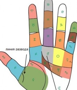 Линия развода на руке у человека в Хиромантии Линия развода на руке