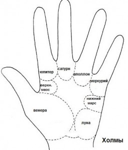 Как выбрать профессию с помощью хиромантии? Как выбрать профессию с помощью хиромантии?