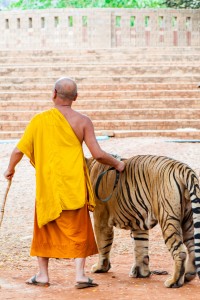 Монахи и монашество в Буддизме, Кто такие буддийские монахи, Чем занимаются монахи в Тибете, Основные практики буддистских монахов, Все ли монахи являются просветлёнными. Монахи и монашество в Буддизме, Кто такие буддийские монахи, Чем занимаются монахи в Тибете, Основные практики буддистских монахов, Все ли монахи являются просветлёнными.