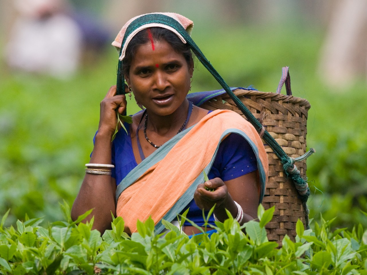 Древние Цивилизации, Шри Ланка, Победа Рамы над Раваной, Жизнь древних цивилизаций мира, Бой Рамы и Раваны, Древние Цивилизации, Шри Ланка, Победа Рамы над Раваной, Жизнь древних цивилизаций мира,