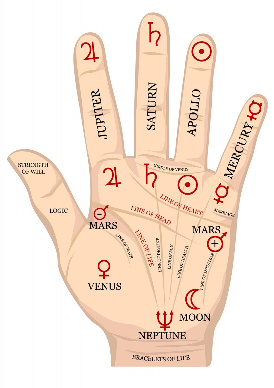 Что означают линии на ладони руки человека, Что такое хиромантия, Что говорят линии на ладонях, Основные линии Хиромантии, Что означают линии на ладони руки человека, Что такое хиромантия, Успешные пророчества хиромантов, Что говорят линии на ладонях, Основные линии Хиромантии,