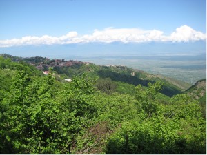 Отзыв о путешествии в Грузию Отзыв о путешествии в Грузию