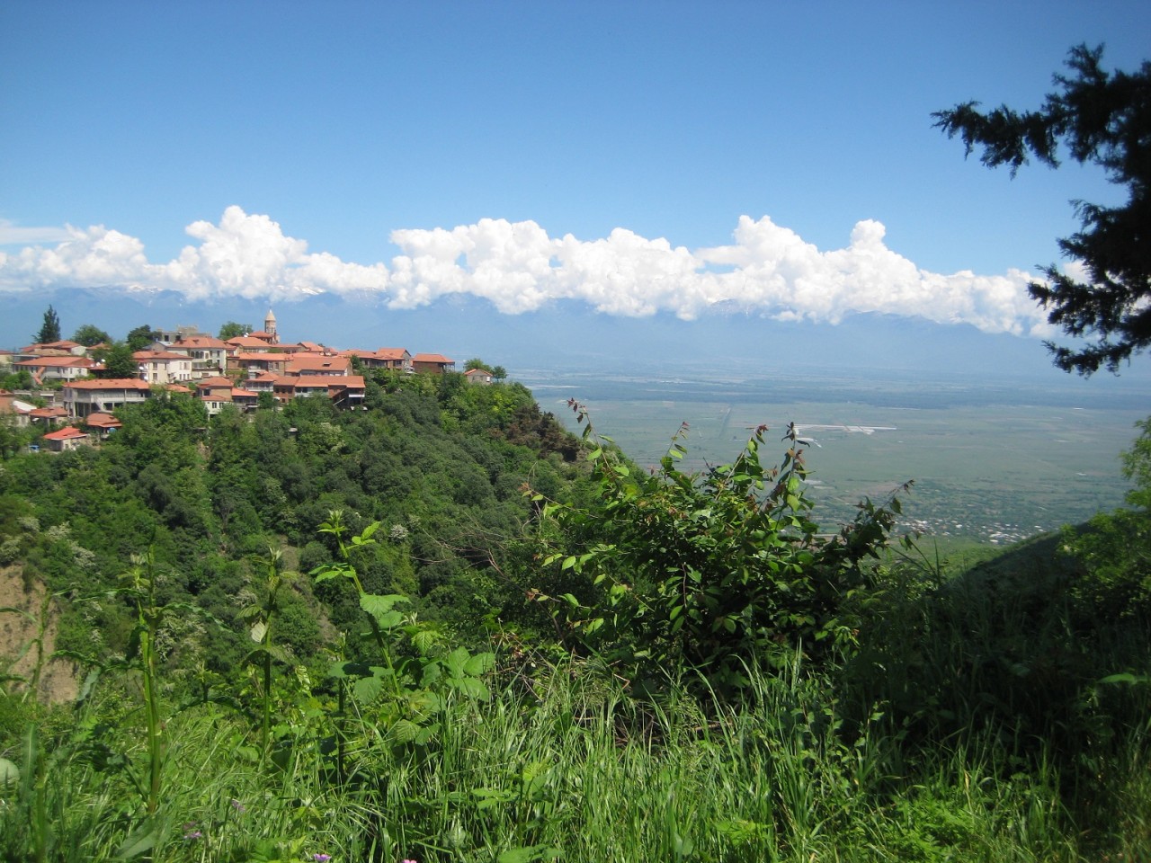 Вина Кахетии