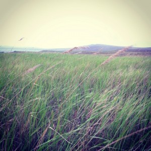 техники и практики духовного развития и самосовершенствования на каждый день, как поднять настроение, техника дыхания, душевное спокойствие и равновесие, техника «Мост прощения», уроки саморазвития техники и практики духовного развития и самосовершенствования на каждый день, как поднять настроение, техника дыхания, душевное спокойствие и равновесие, техника «Мост прощения», уроки саморазвития