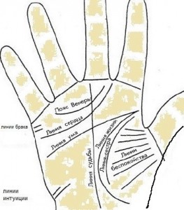 Что говорят линии на ладонях? Что говорят линии на ладонях?