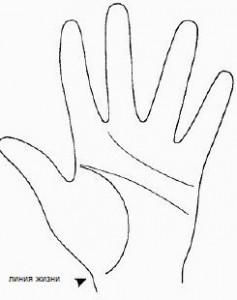 Линия жизни на руке человека Линия жизни на руке человека