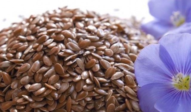 польза семян льна, вред семян льна, противопоказания к применению семян льна, семена льна в народной медицине, полезные свойства семени льна, состав семян льна, семена льна для похудения, отвар из семян льна, как принимать в пищу семена льна, как прорастить семена льна, польза ростков льна, как хранить ростки семян льна польза семян льна, вред семян льна, противопоказания к применению семян льна, семена льна в народной медицине, полезные свойства семени льна, состав семян льна, семена льна для похудения, отвар из семян льна, как принимать в пищу семена льна, как прорастить семена льна, польза ростков льна, как хранить ростки семян льна