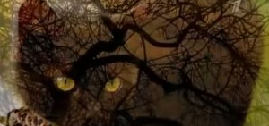 Современные мифы и легенды, городские легенды, городская мифология, техногенная мифология, бытовая магия Современные мифы и легенды, городские легенды, городская мифология, техногенная мифология, бытовая магия