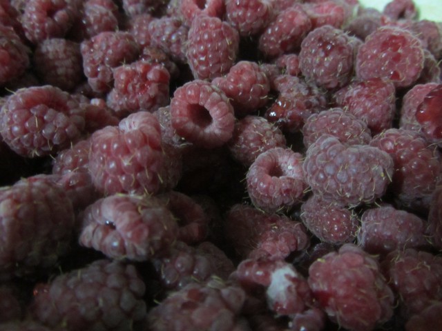 Какаю малину покупать для варенья? Какаю малину покупать для варенья?