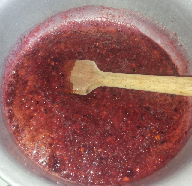 Рецепт варенья из крыжовника с апельсином, Пошаговый рецепт приготовления крыжовникового варенья, Как сварить классическое варенье из крыжовника, Рецепт диетического варенья из крыжовника.