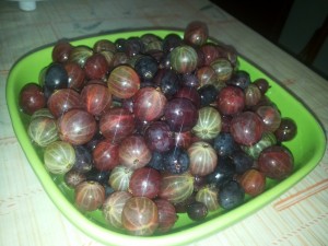 крыжовник, kryzhovnik v tarelke