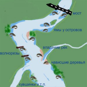Места ловли сома