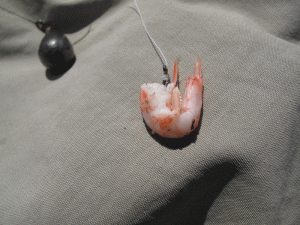 Раковая шейка