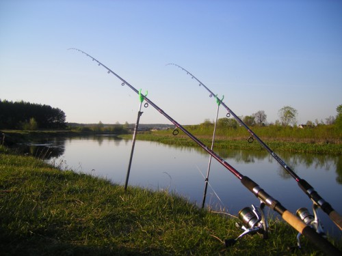Снасть для ловли сома