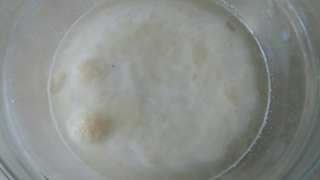 gotovaja opara
