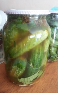 Пошаговый фото рецепт маринования огурцов с чили, Рецепт огурцов с кетчупом «Чили» на зиму со стерилизацией. Пошаговый фото рецепт маринования огурцов с чили, Рецепт огурцов с кетчупом «Чили» на зиму со стерилизацией.