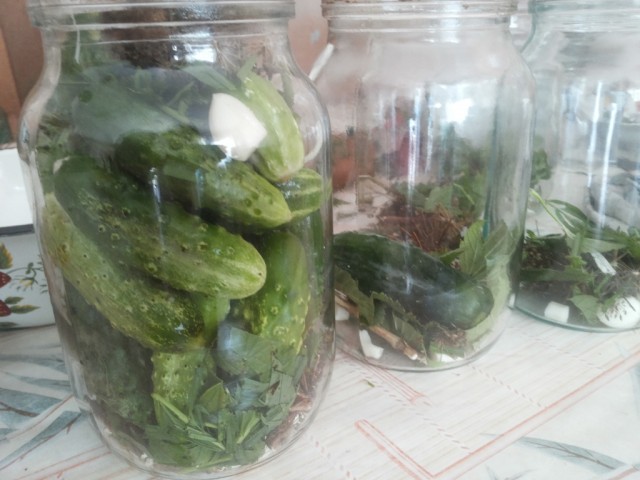 расфасовка огурцов в банки, rasfasovka ogurcov v banki