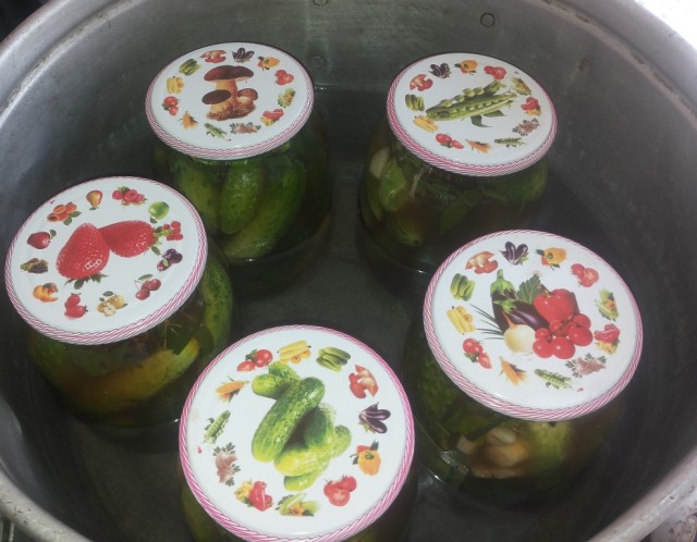 стерилизация в банках маринованных огурцов с кетчупом чили, sterilizacija ogurcov v bankah