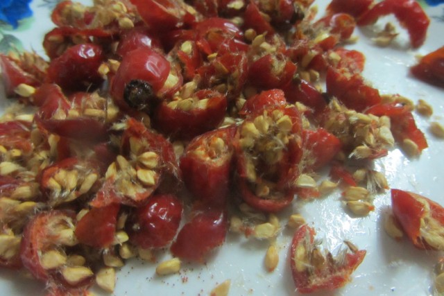 Как правильно заваривать пить шиповник Как правильно заваривать пить шиповник