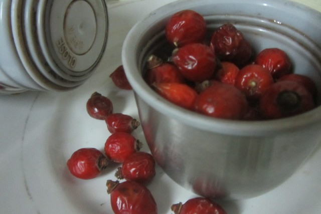 Как приготовить настой шиповника: Как приготовить настой шиповника: